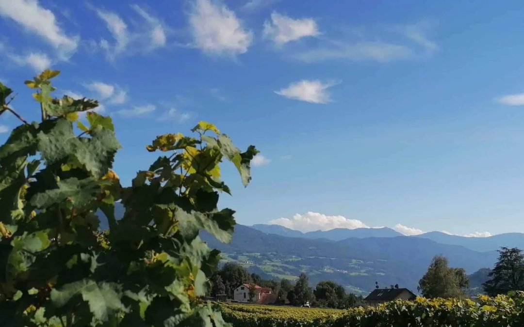 L’Italia del Vino – “Dagli Appenini alle Alpi” – dal 12 gennaio