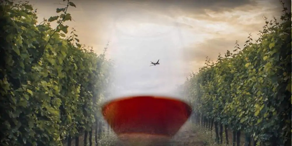 Il Mondo del Vino – Corso di avvicinamento al vino internazionale – dal 23 marzo