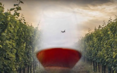 Corso di avvicinamento al vino francese ed internazionale “Il Mondo del Vino” – dal 7 febbraio 2023